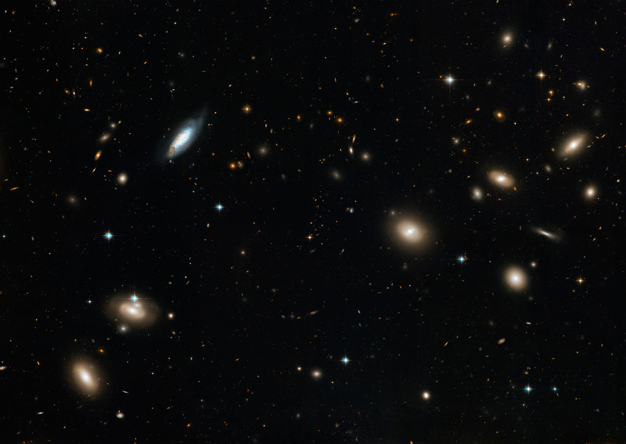 Coma cluster
