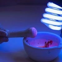 biofluorescence demonstration