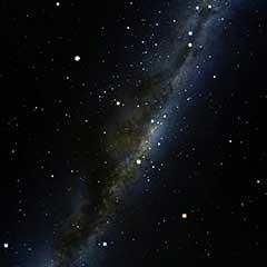 Image of the Dark Emu