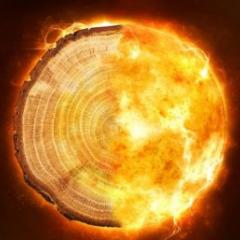 Sun and tree