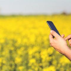 Phone