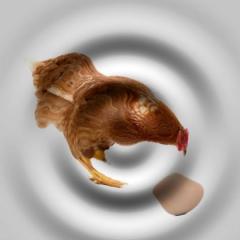 Chicken or the egg?
