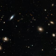 Coma cluster