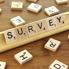 Survey scrabble